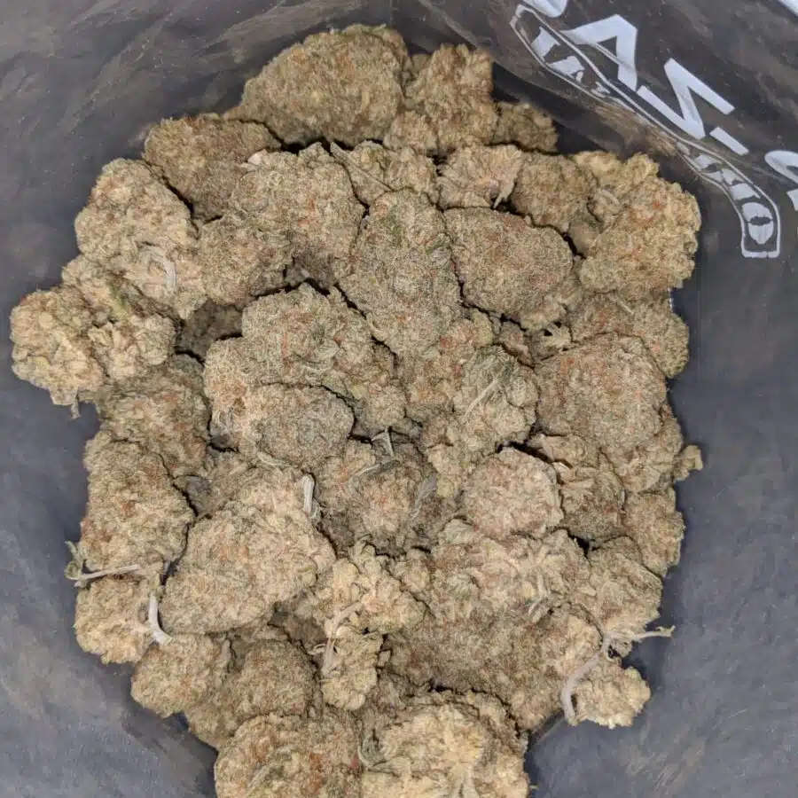 platinum lemon haze 4 I Platinum Lemon Haze