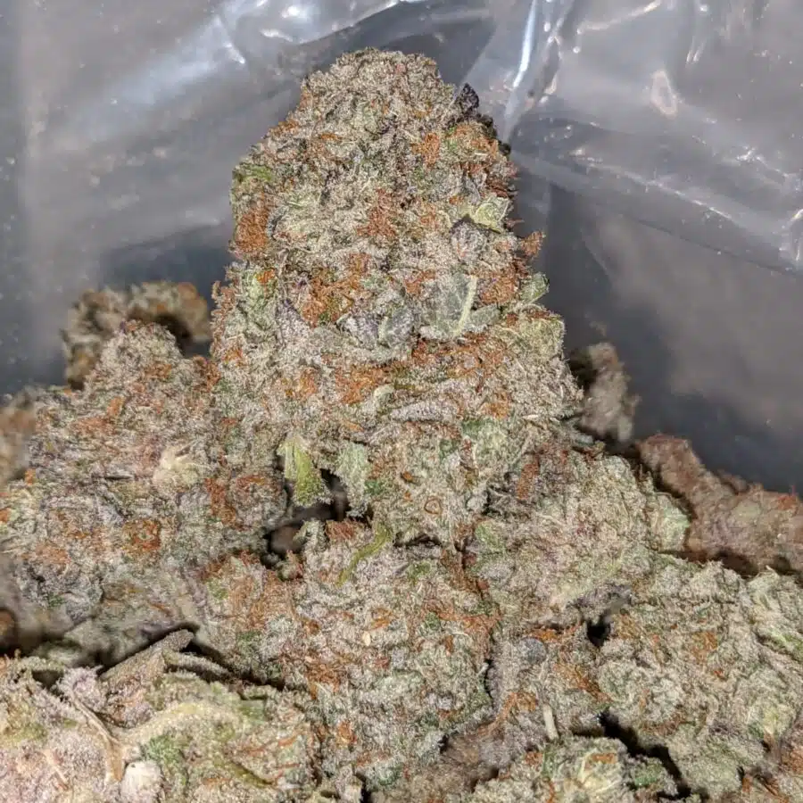 purple berry soda 1 I Purple Berry Soda