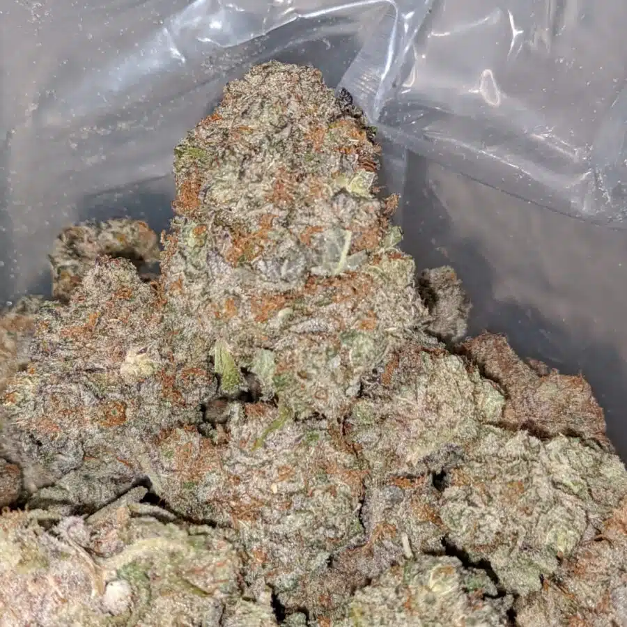 purple berry soda 2 I Purple Berry Soda