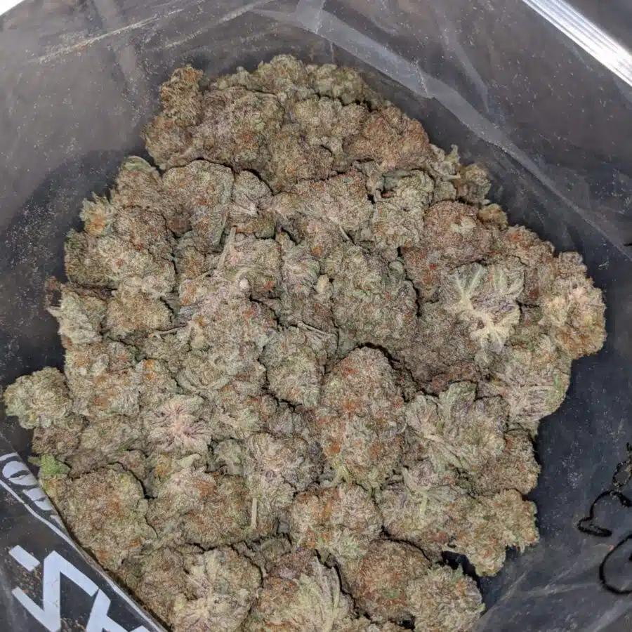 purple berry soda 4 I Purple Berry Soda