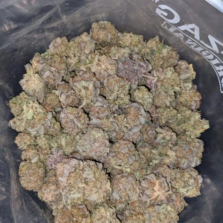 purple cosmo dod 3 I Purple Cosmo - *Deal Of The Day*