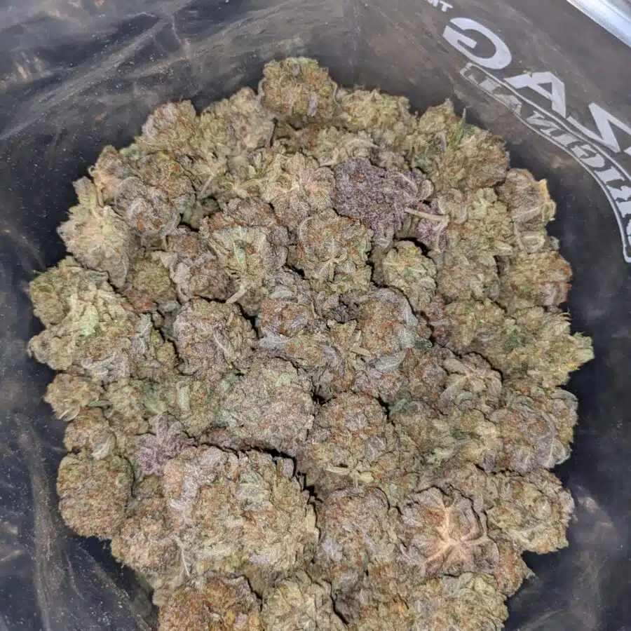 purple cosmo dod 4 I Purple Cosmo - *Deal Of The Day*