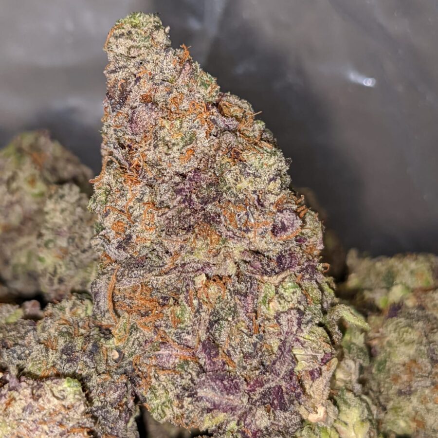 purple frost 1 I Purple Frost