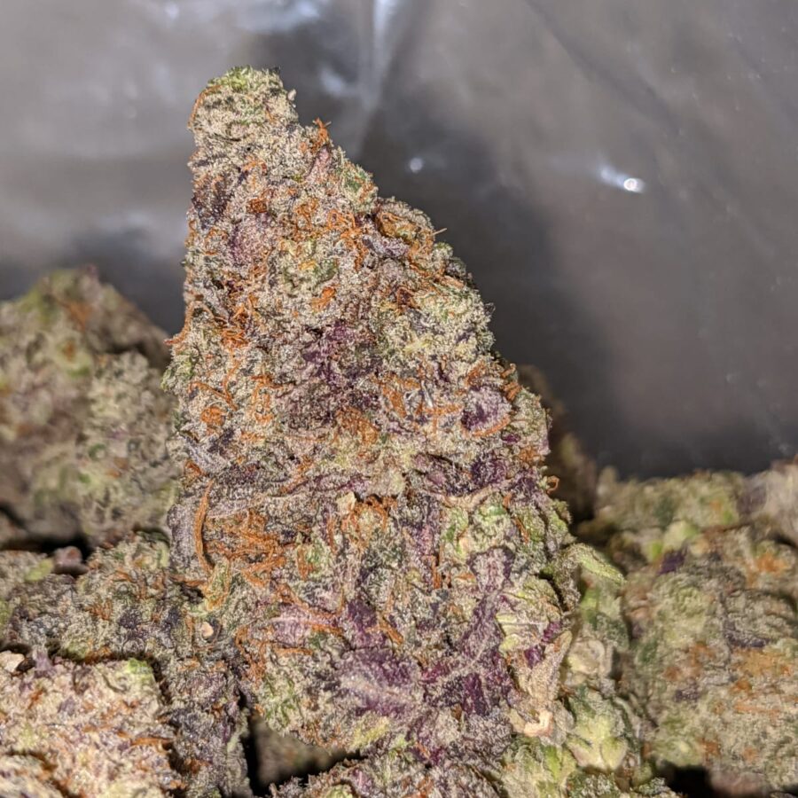purple frost 2 I Purple Frost