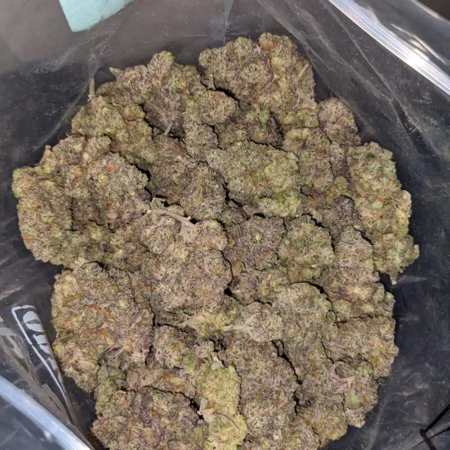 Purple Frost - Image 4