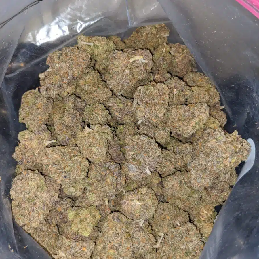 purple grapefruit 4 I Purple Grapefruit
