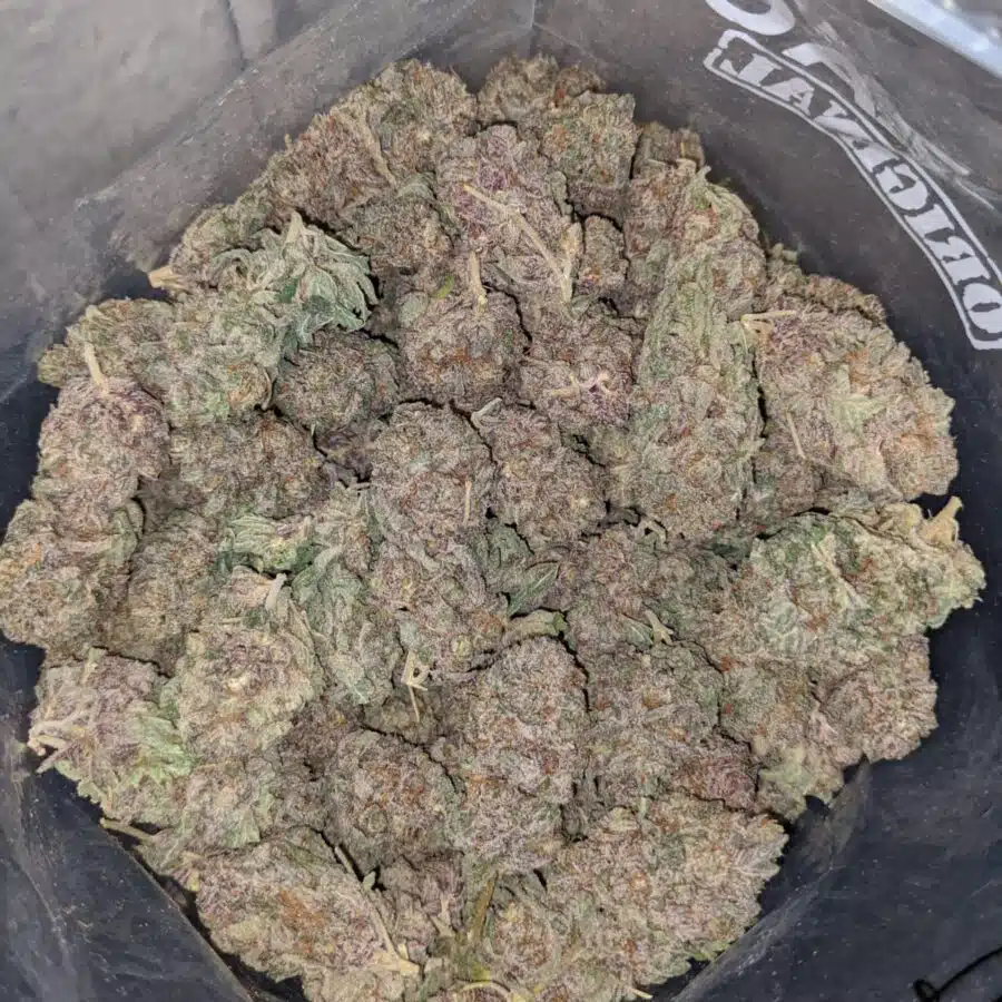 purple widow dod 6 I Emma's Purple Widow