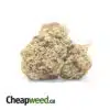 Romulan Bulk Special