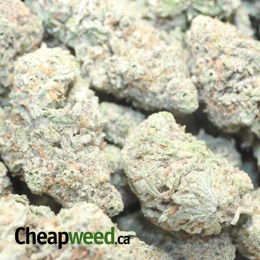 super bubba 1 I Super Bubba