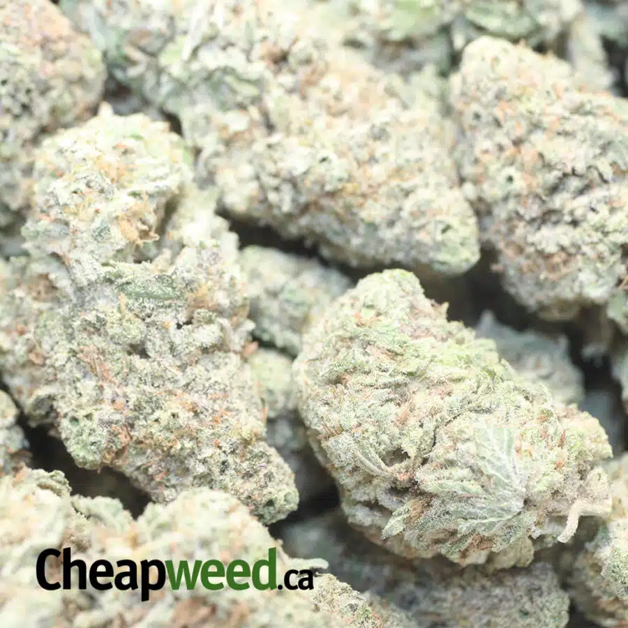 super bubba 1 I Super Bubba