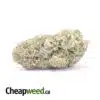 Super Bubba