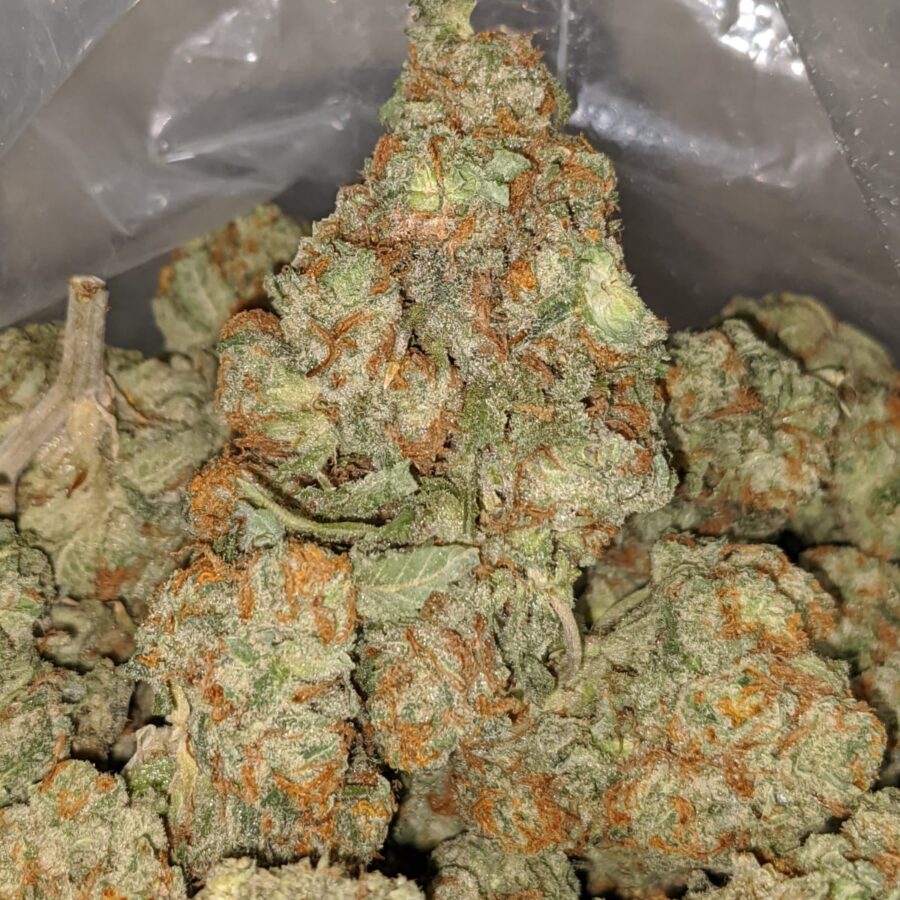 sweet tooth 1 I Sweet Tooth #2