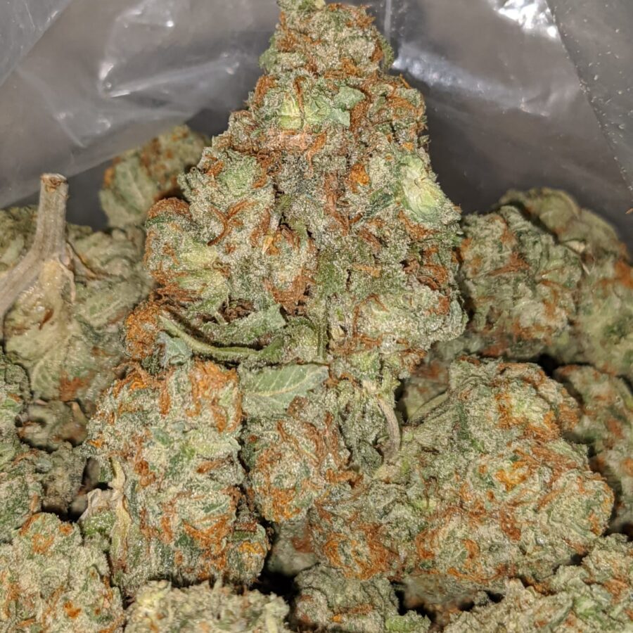 sweet tooth 2 I Sweet Tooth #2