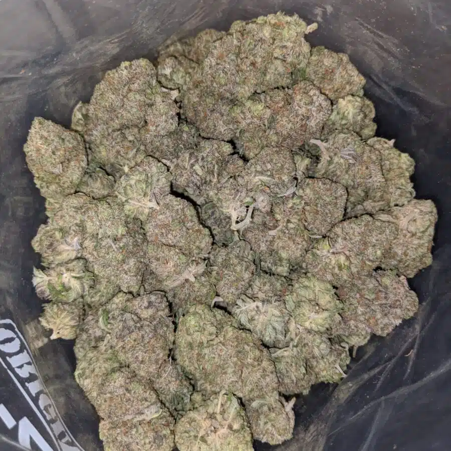 tonys pink goo 3 I Cheap Pink Kush