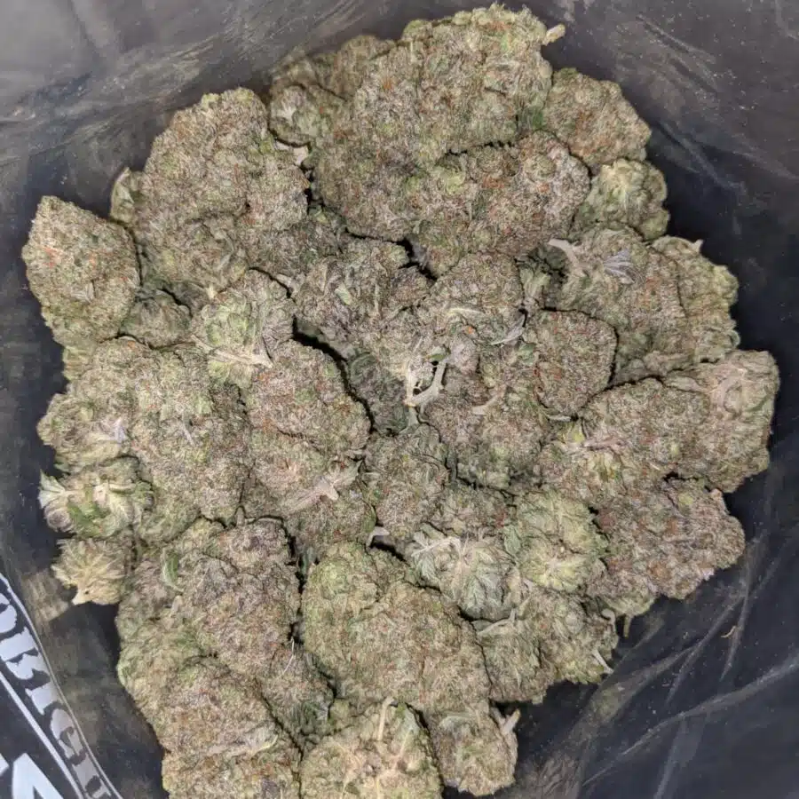 tonys pink goo 4 I Cheap Pink Kush