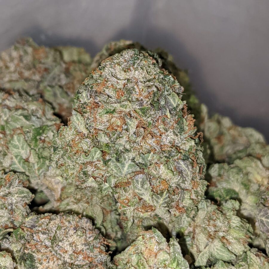 white bubba dod 1 1 I White Bubba - *Deal of the Day*