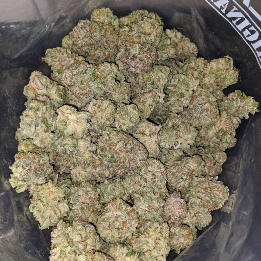 white bubba dod 3 1 I White Bubba - *Deal of the Day*