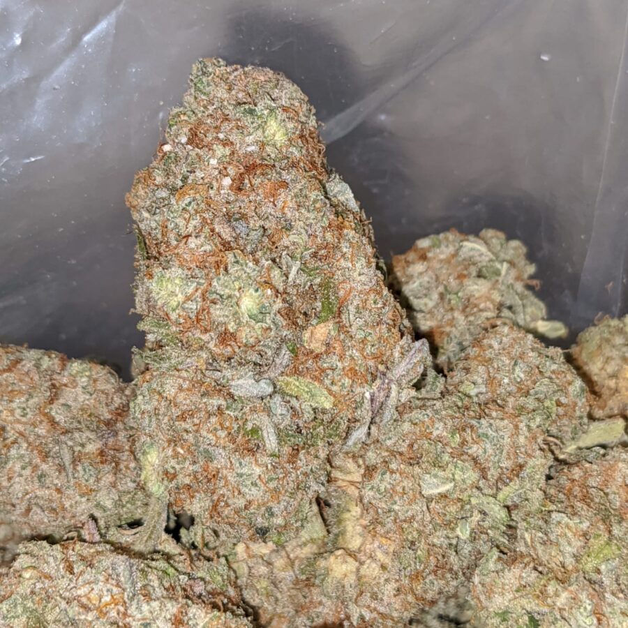 white trainhaze 1 I White Train Haze