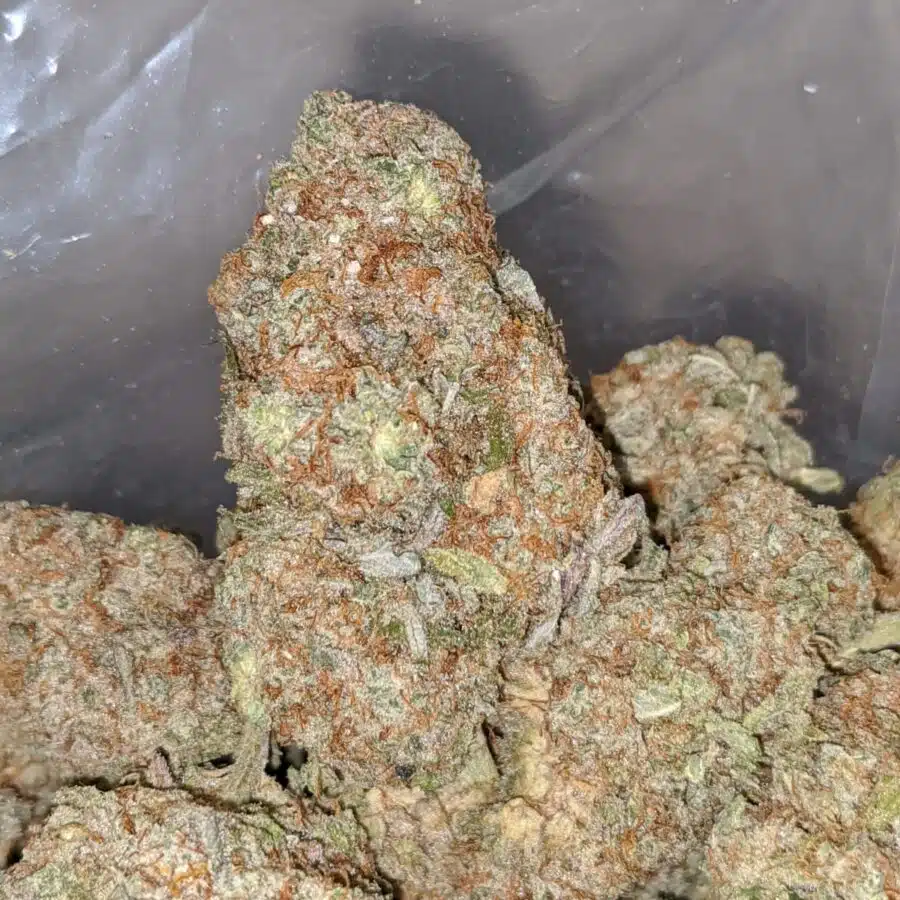 white trainhaze 2 I White Train Haze