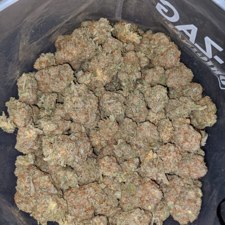 white trainhaze 3 I White Train Haze