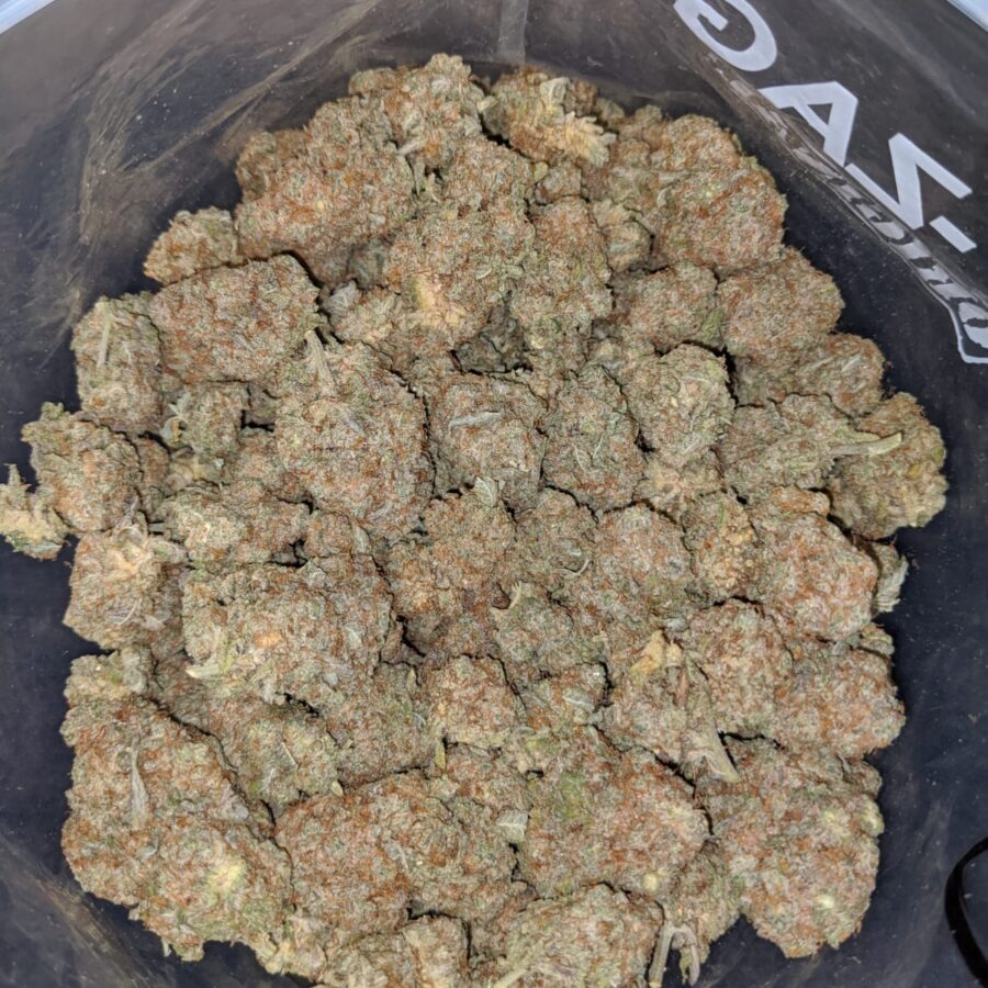 white trainhaze 4 I White Train Haze