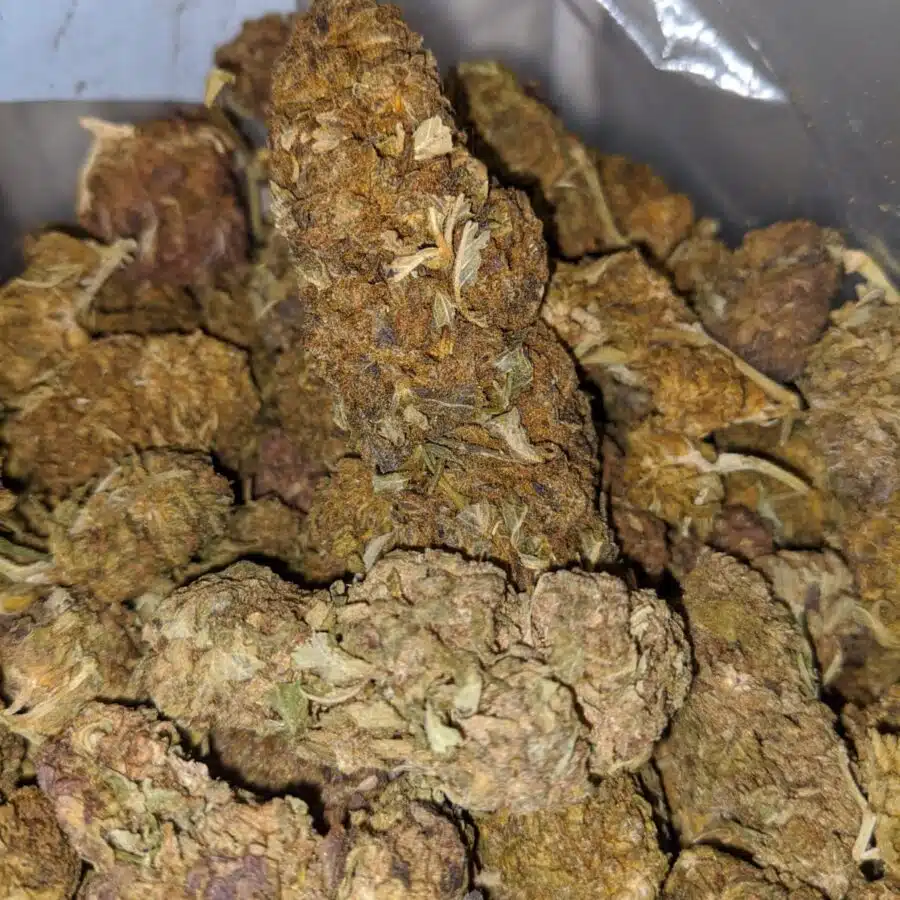 AA Budget Buds 3 I AA+ Budget Buds