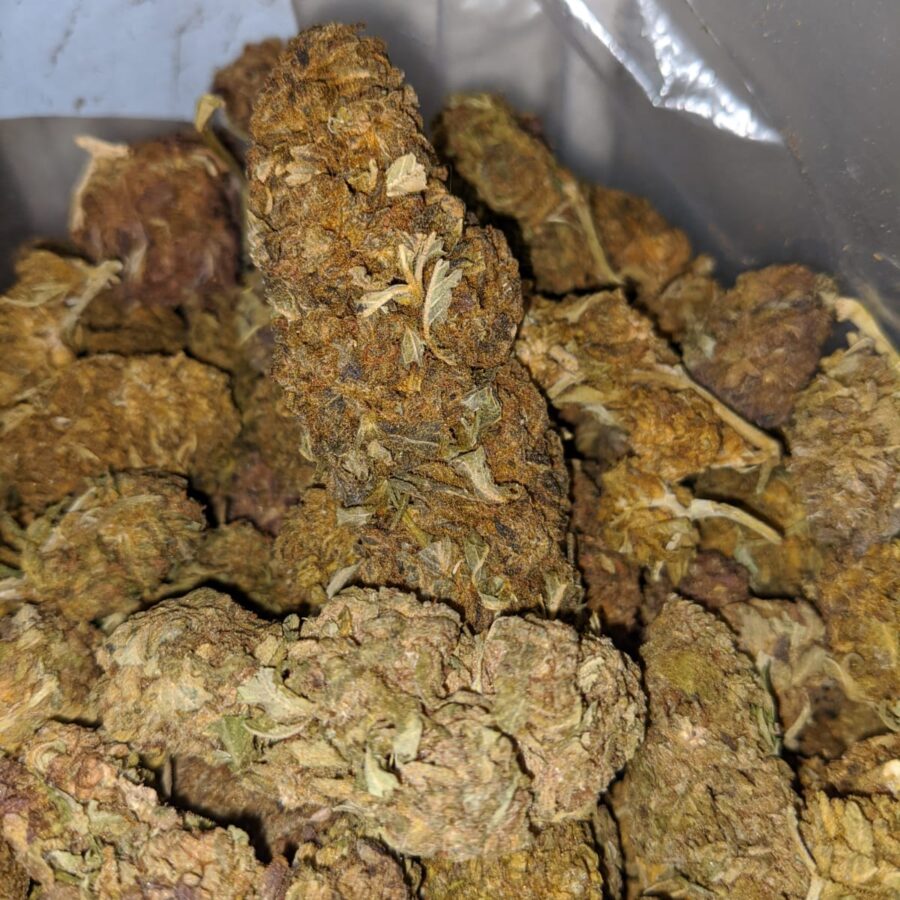 AA Budget Buds 4 I AA+ Budget Buds