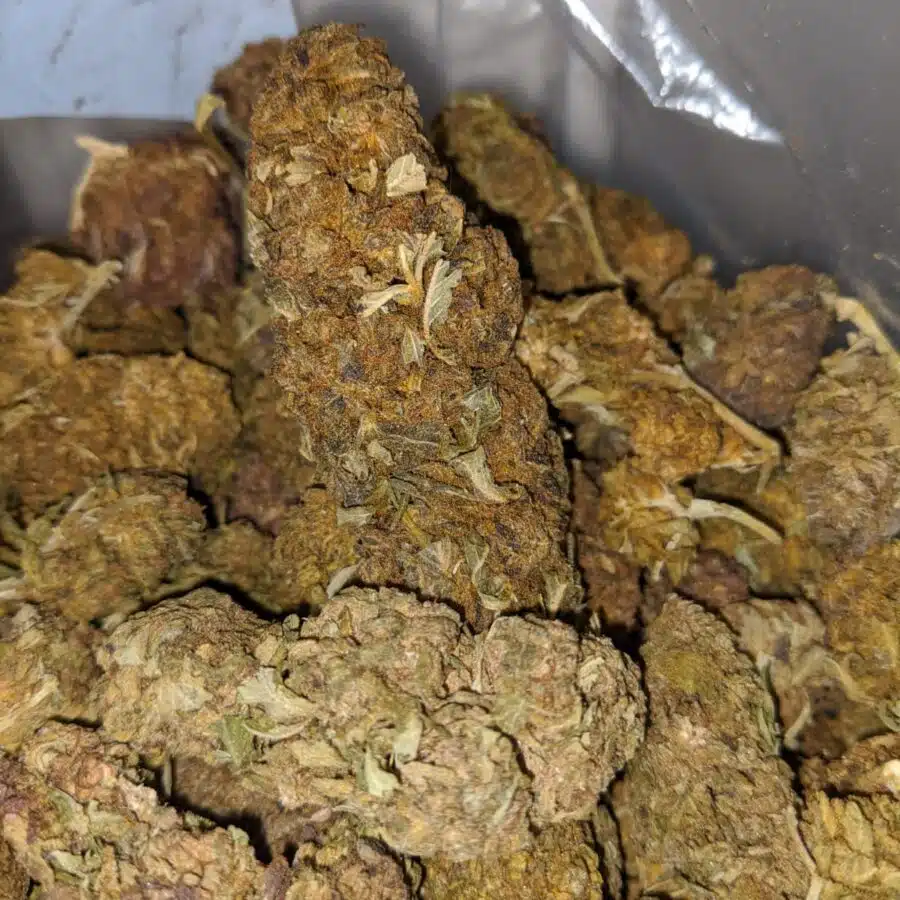 AA Budget Buds 4 I AA+ Budget Buds