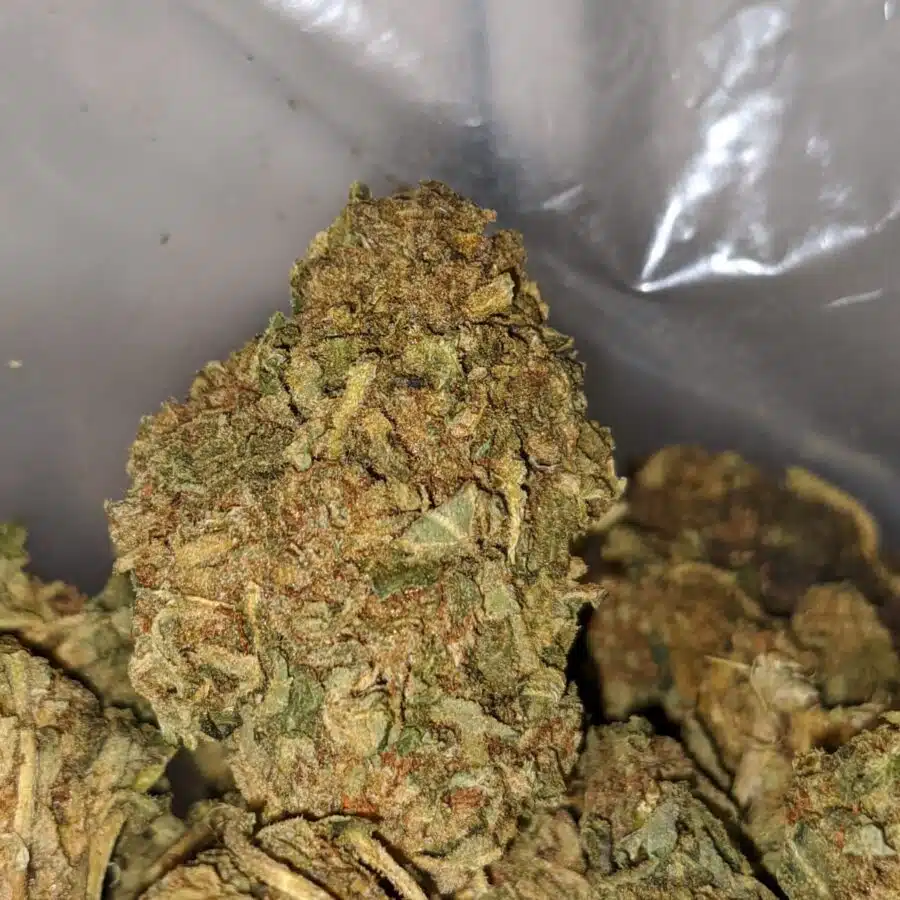 AA Green Poison 1 I AA+ Green Poison #2