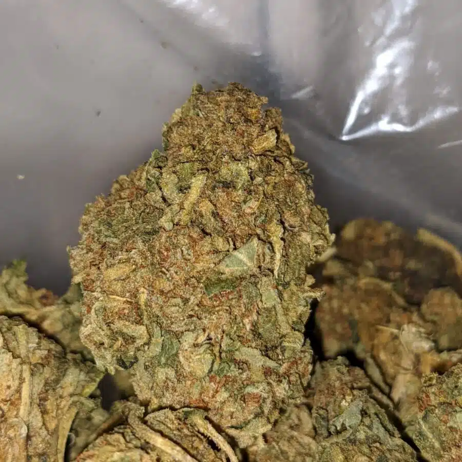 AA Green Poison 2 I AA+ Green Poison #2