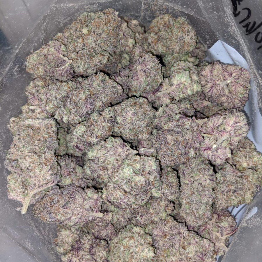Blueberry Polaris - Image 4