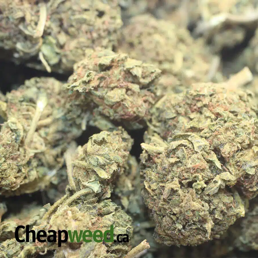 CHEAP BUK AA 2 I Cheap Bulk AA+