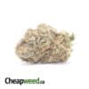 Emma's White Widow