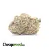Emma's White Widow