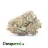 Gasfuel OG