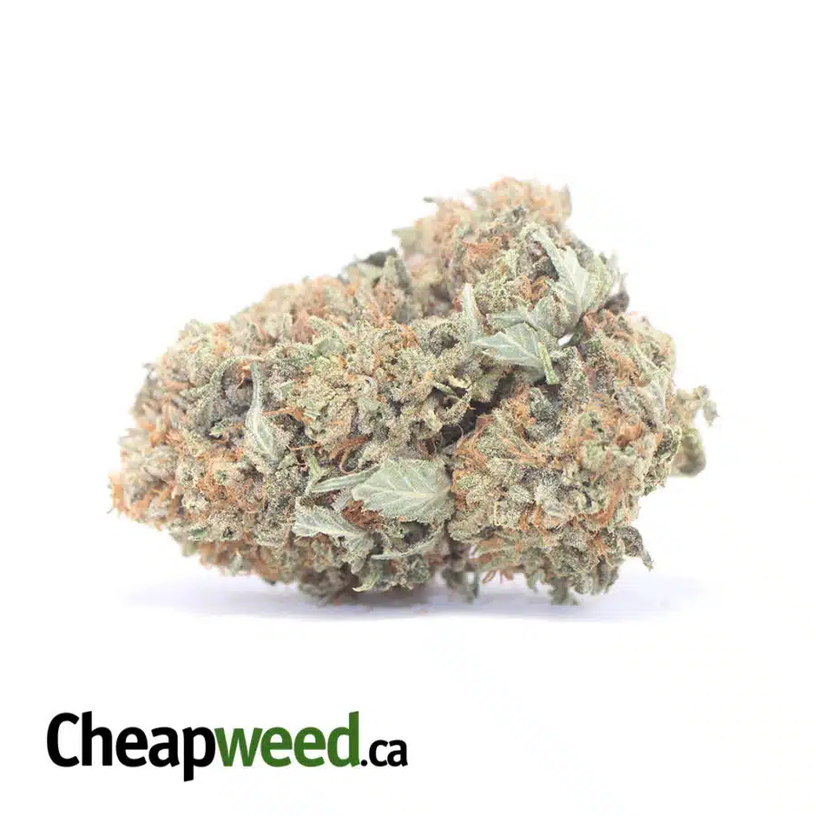 Gasfuel OG