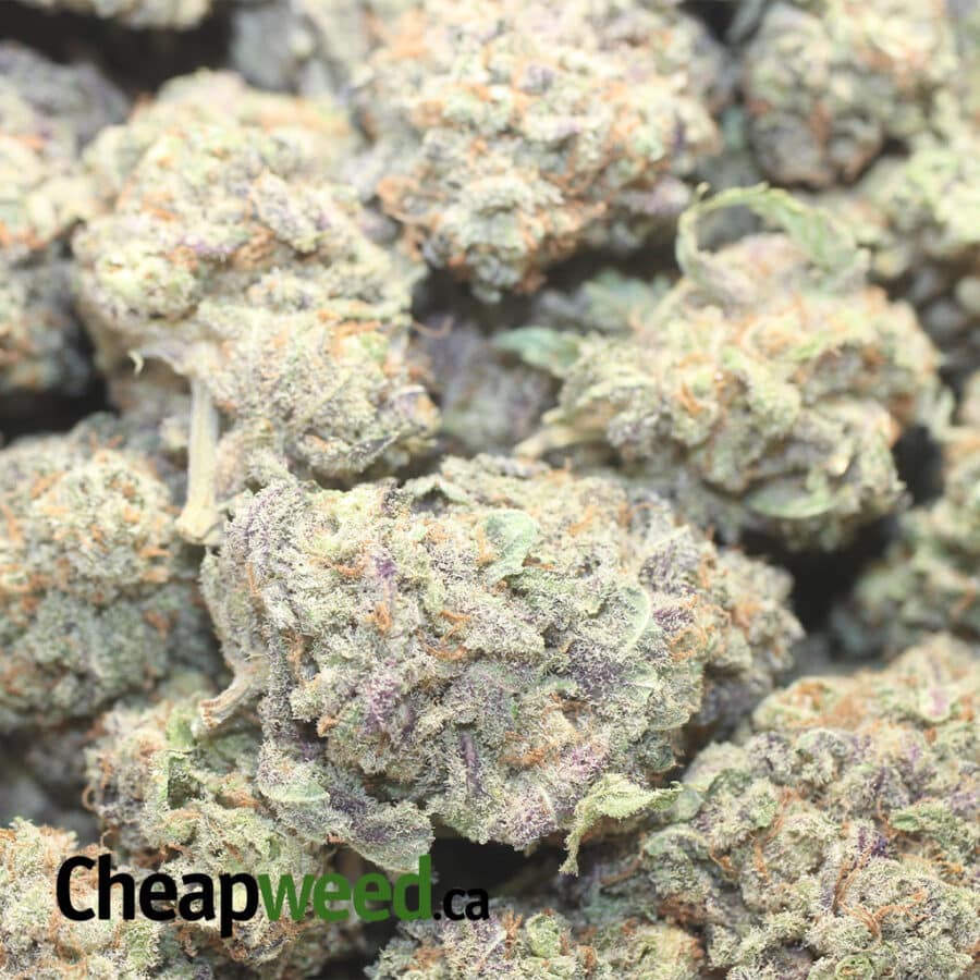 GRAPE SODA AAA 3 I Grape Soda AAA