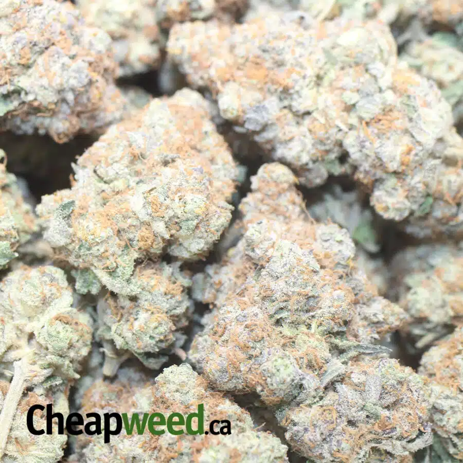 GREEN CRACK AAA 1 I Green Crack AAA