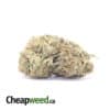 Jack Herer Bulk Special