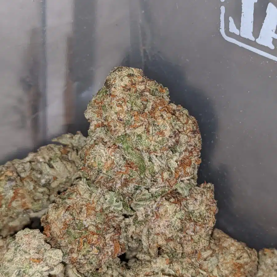 KUSHBERRY 1 I Kushberry #2