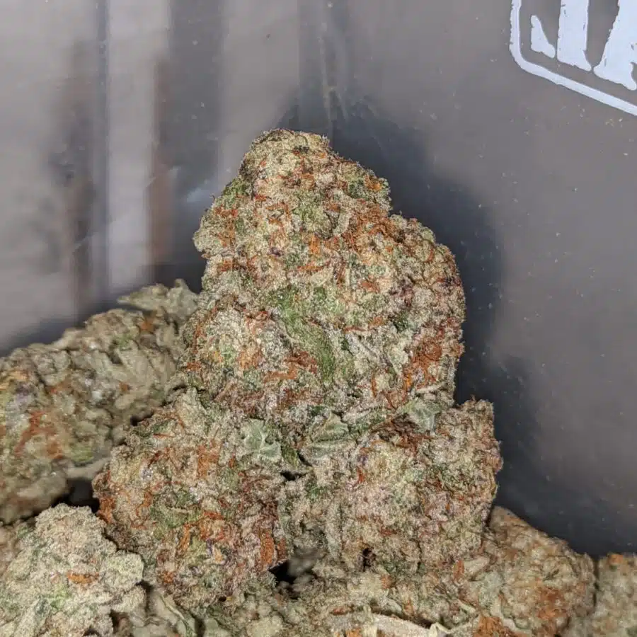 KUSHBERRY 2 I Kushberry #2