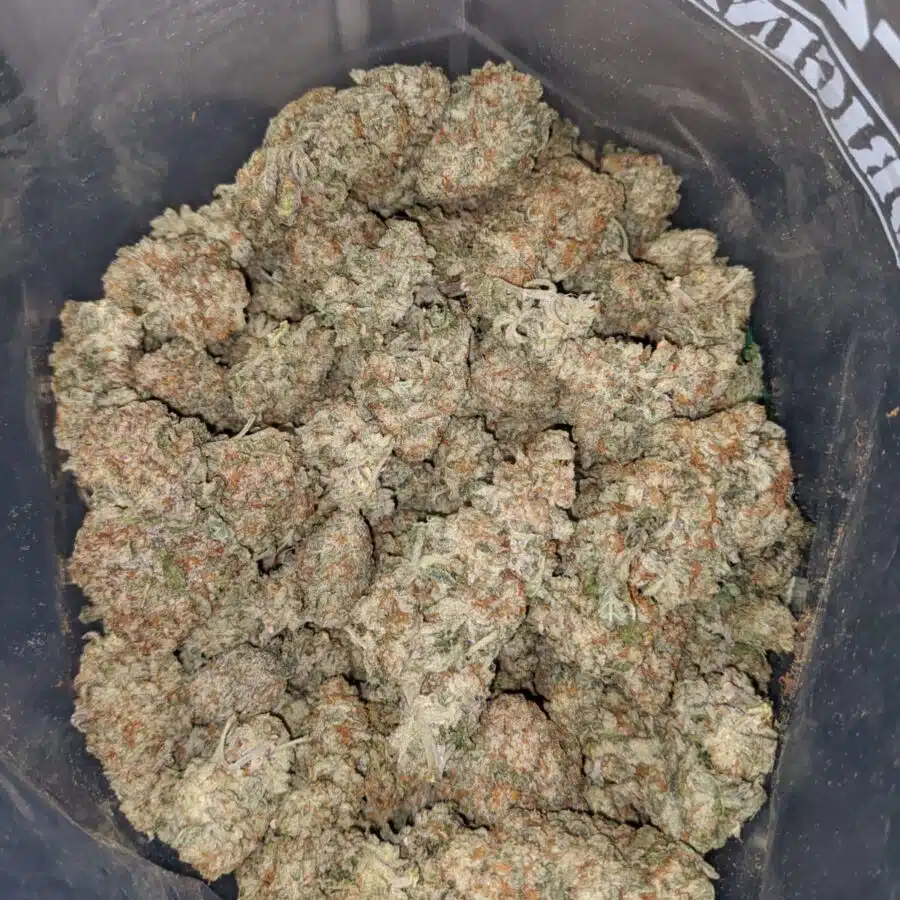 KUSHBERRY 3 I Kushberry #2