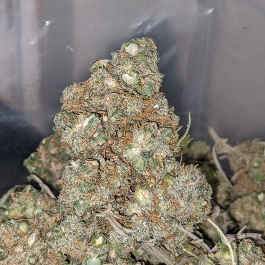 LOL Cheapweed AA+ - Image 5