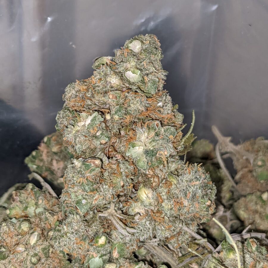 LOL Cheapweed AA+ - Image 4