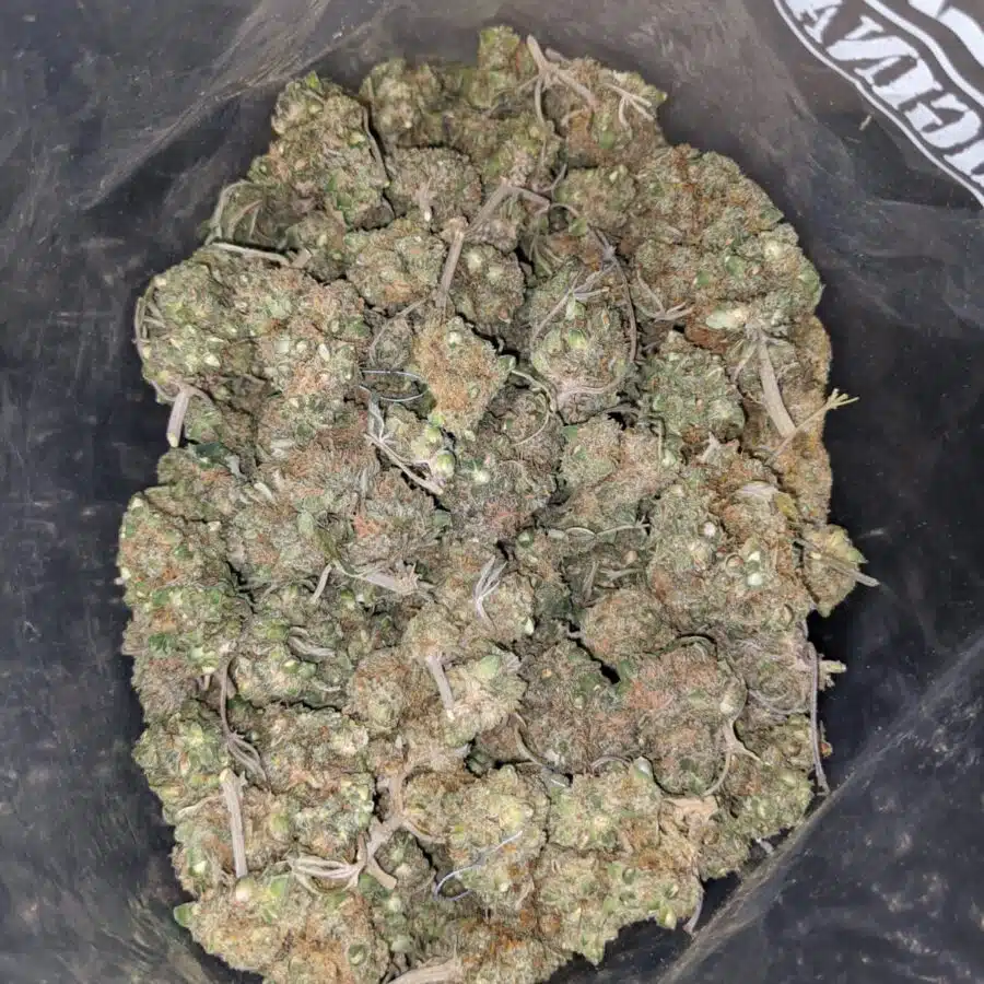 LOL CheapWeed AA 3 I LOL Cheapweed AA+