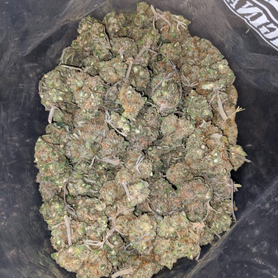 LOL Cheapweed AA+ - Image 6