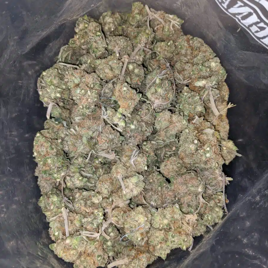 LOL CheapWeed AA 4 I LOL Cheapweed AA+