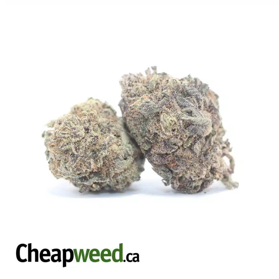 Alternative view of Purple Mamba Bulk Special