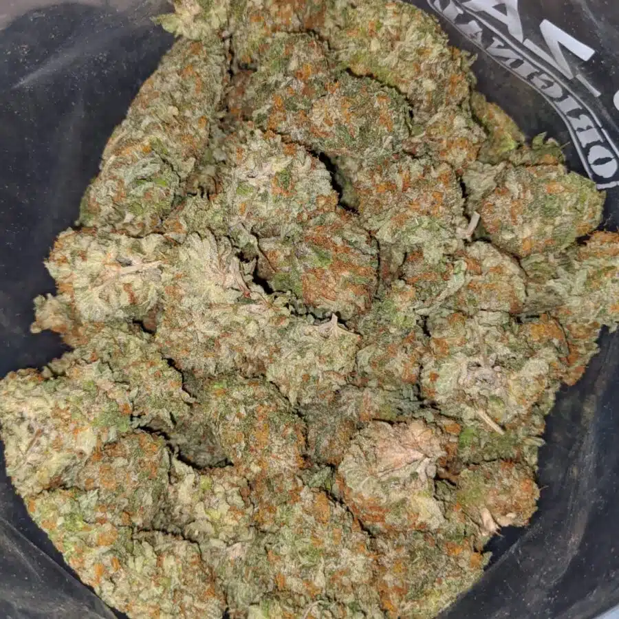 Red Congo
