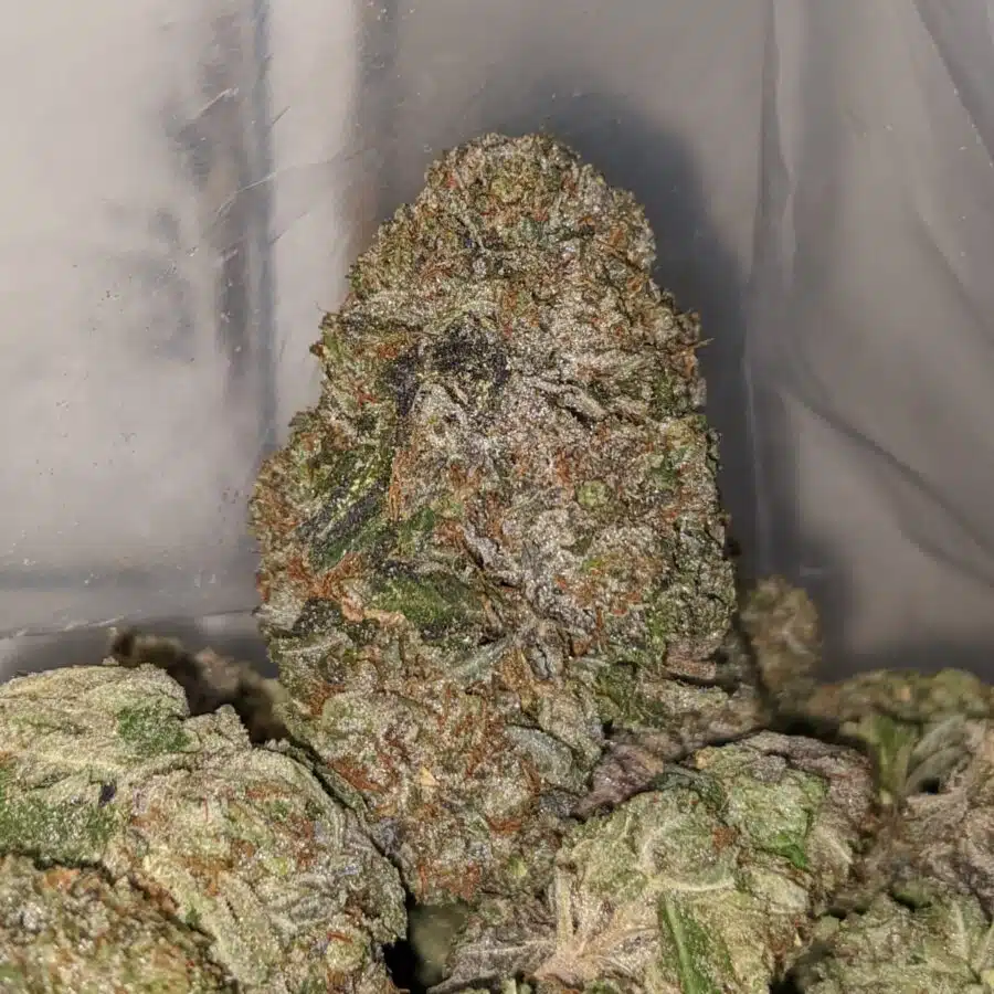 STICKY ICKY 1 I Purple Thai